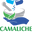 Camaliche Pharmacy logo
